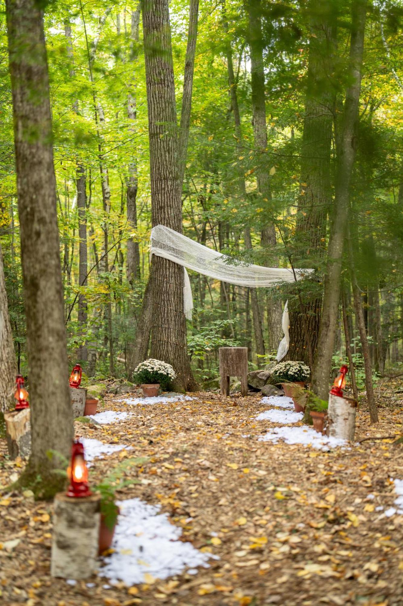 Trekker, Treehouses And 3* Lake George